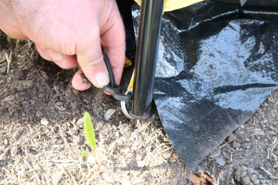 Палатка-Шатер TRAMP Mosquito LUX Green 4.3х3.7х2.25 м (V2)