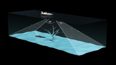 Системы Garmin Panoptix LiveScope Plus GLS-10 + LVS34