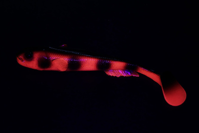 Силиконовая приманка Savage Gear LB 3D Goby Shad 20cm 60gr Red Bullhead UV/ 2 штуки