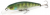 Воблер Jackall Squad Minnow 95 skeleton gill