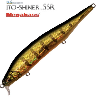 Воблер Megabass Ito-Shiner SSR GG Perch