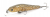 Воблер Zipbaits Rigge 56F 029R