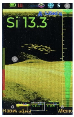 Структурный датчик Эховизор (для лодки) для Практик 8