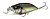 Воблер Megabass IxI Shad Type-R SEXY OYABU SHAD