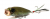 Воблер Megabass Pop Max burst sand snake