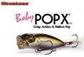 Megabass Baby POP X Megabass Baby POP X