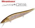 Megabass GH110 Vision Oneten Megabass GH110 Vision Oneten