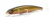 Воблер Fishycat Tigercub 205F R04