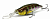 Воблер Megabass IxI Shad Type-3 GG Gill Воблер Megabass IxI Shad Type-3 GG Gill