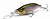 Воблер Megabass IxI Shad Type-3 Ito Ayu Воблер Megabass IxI Shad Type-3 Ito Ayu