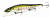 Воблер Megabass Vision Oneten 110 gg trout Воблер Megabass Vision Oneten 110 gg trout