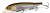 Воблер Megabass Lates silent pm setsuki ayu Воблер Megabass Lates silent pm setsuki ayu