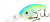 Воблер Bomber Fat Free Shad BD7F DCS Воблер Bomber Fat Free Shad BD7F DCS