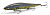Воблер Megabass Vision Oneten 110 SP-C aarones magic Воблер Megabass Vision Oneten 110 SP-C aarones magic