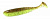 Keitech Easy Shiner 4 #401T Green Pumkin/Chartreuse