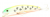 Воблер Fishycat Tigercub 170F X09 Воблер Fishycat Tigercub 170F X09