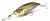 Воблер Megabass IxI Shad Type-3 HT Wakasagi Воблер Megabass IxI Shad Type-3 HT Wakasagi