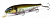 Воблер Megabass Lates silent wagin oikawa Воблер Megabass Lates silent wagin oikawa