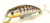 Воблер Fishycat Tigercub 205F X05 Воблер Fishycat Tigercub 205F X05