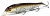 Воблер Megabass Lates silent wagin hasu II Воблер Megabass Lates silent wagin hasu II