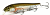 Воблер Megabass Lates silent wagin niji Воблер Megabass Lates silent wagin niji