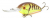 Воблер Bomber Fat Free Shad Jr. BD6F CWB Воблер Bomber Fat Free Shad Jr. BD6F CWB