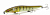 Воблер Megabass Vision Oneten LBO PM Oyanirami Воблер Megabass Vision Oneten LBO PM Oyanirami
