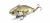 Воблер Lucky Craft LV 500 252 Воблер Lucky Craft LV 500 252