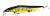 Воблер Megabass Vision Oneten LBO GG Perch Воблер Megabass Vision Oneten LBO GG Perch