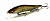 Воблер Megabass Vision Oneten 110 pm iwana Воблер Megabass Vision Oneten 110 pm iwana