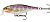 Воблер Rapala Shad Rap SSR-9 PD