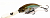 Воблер Megabass SpinDrive 58SP sexy ayu Воблер Megabass SpinDrive 58SP sexy ayu