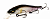 Воблер Megabass Vision Oneten 110 seethrough gritter ayu Воблер Megabass Vision Oneten 110 seethrough gritter ayu